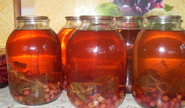 компот из крыжовника