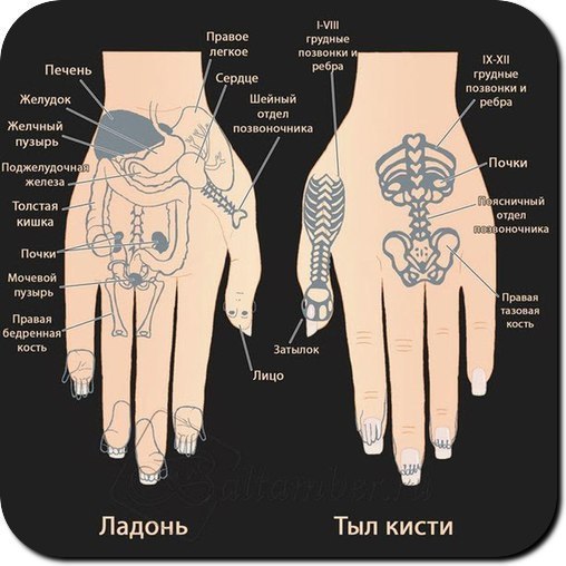 аппркгоенго
