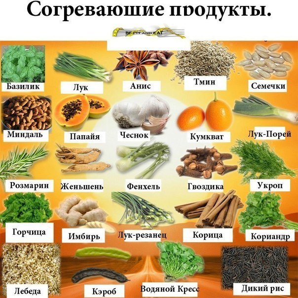впьербр