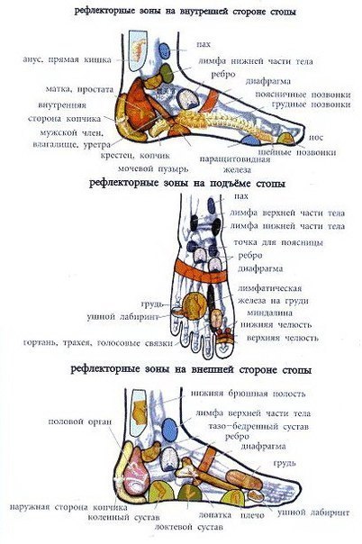 ноги