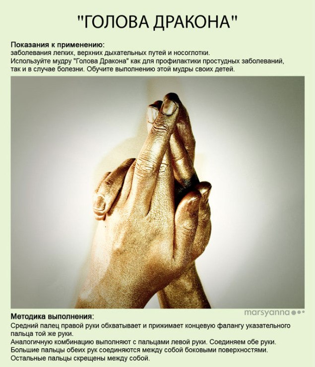 голова дракона
