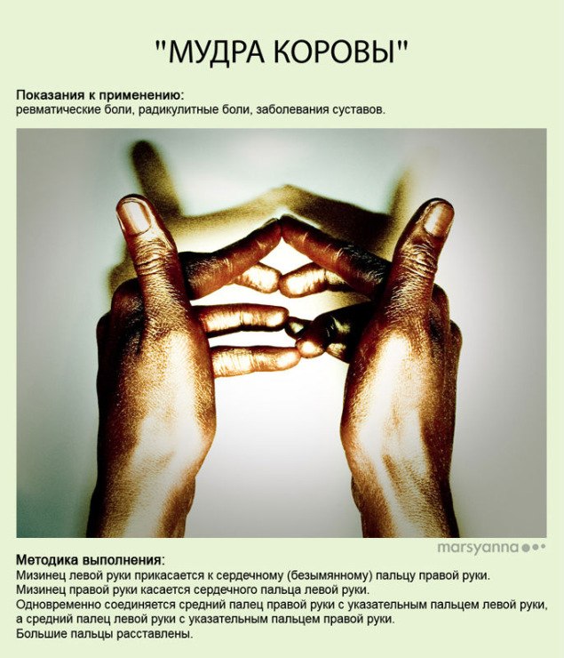 мудра коровы