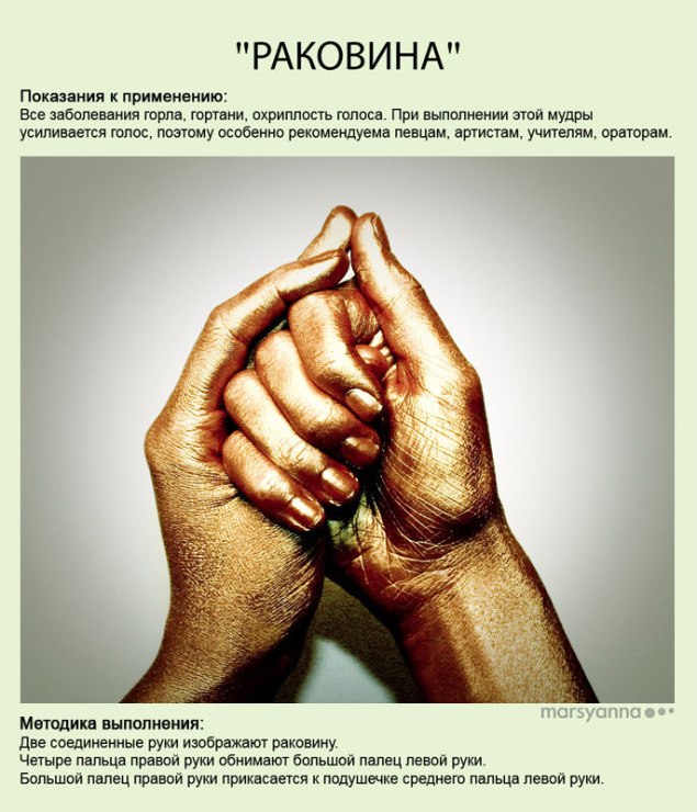 раковина
