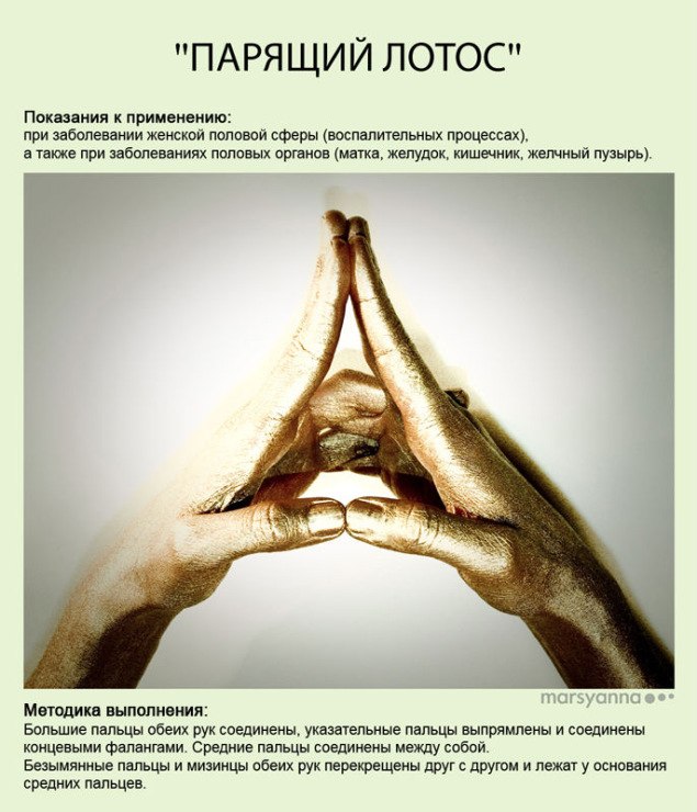 парящий лотос