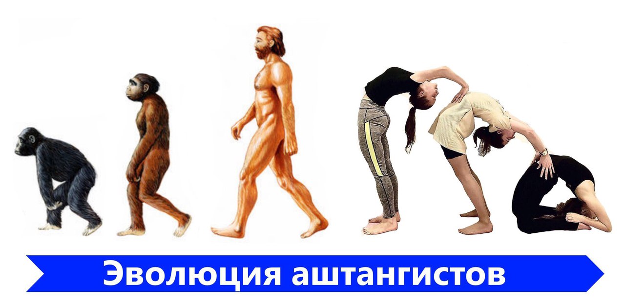 эволюция