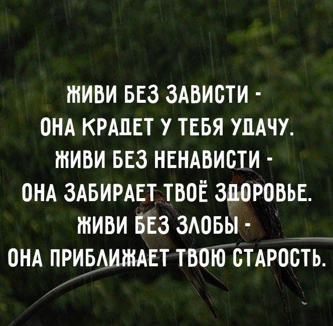 таорлео
