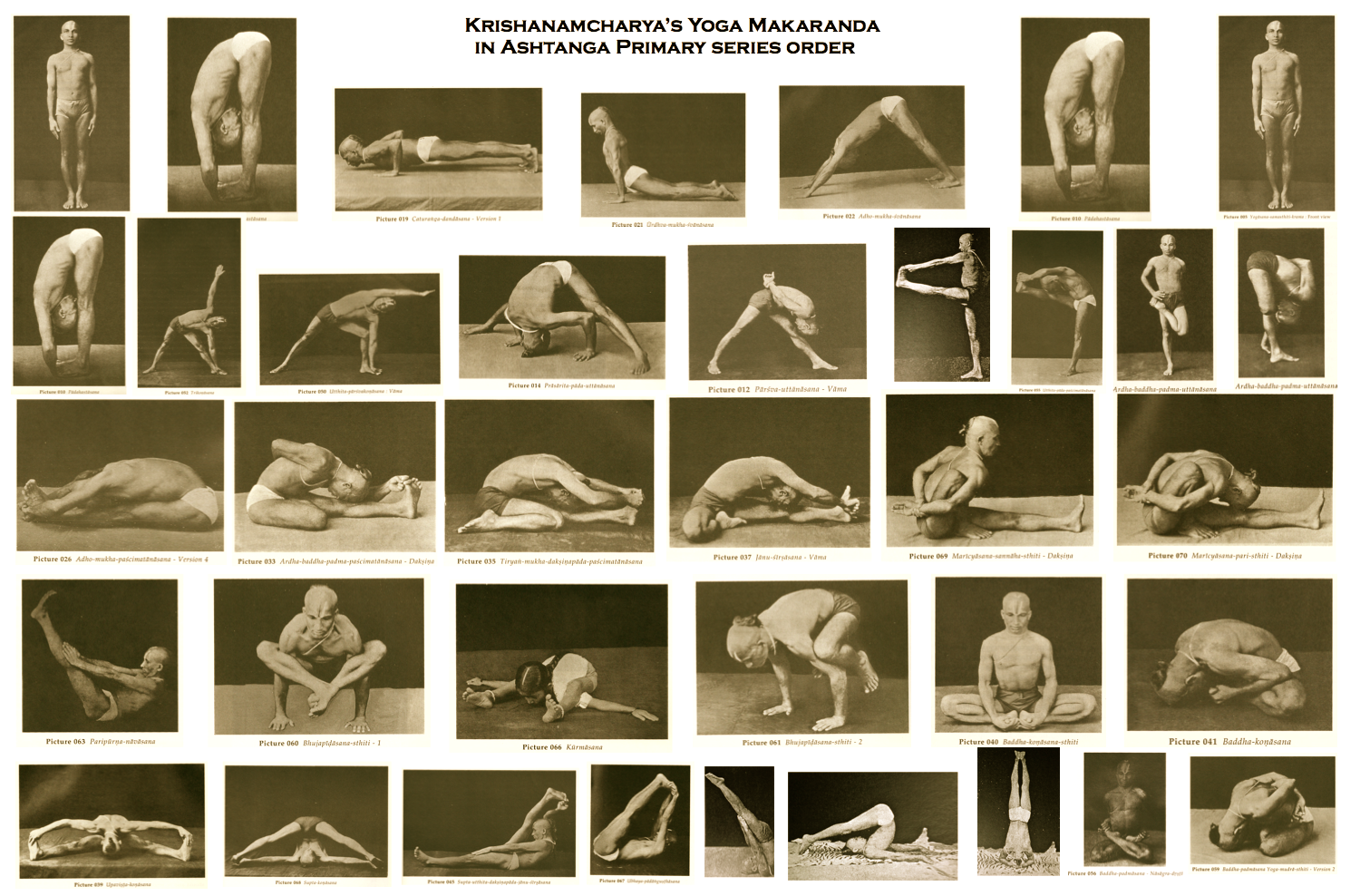 Krishnamacharya-ashtanga