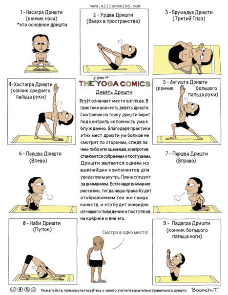 дришти_РИС